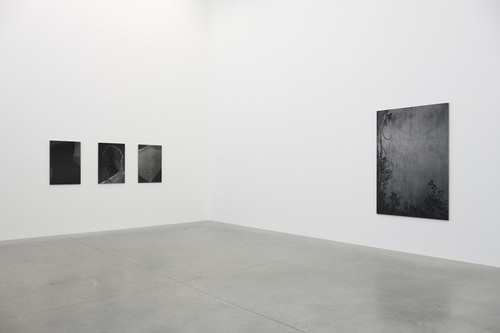 Dear deer , - Dirk Braeckman - Installation view
