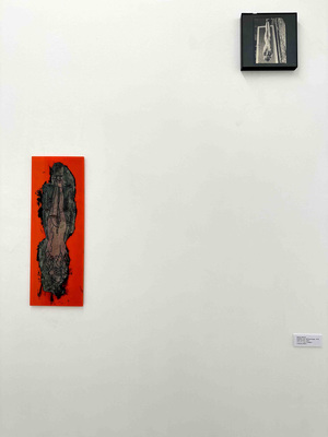 Affiniteiten #5: Anne-Mie Van Kerckhoven ∞ Danny Devos // Carole Vanderlinden ∩ Walter Swennen - Installation view