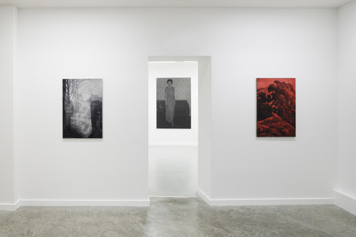 Évidences possibles - Installation view
