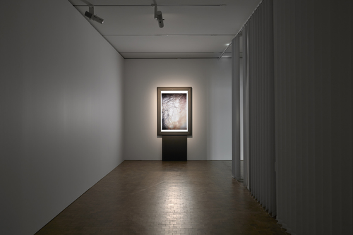 Martin Margiela - Installation view