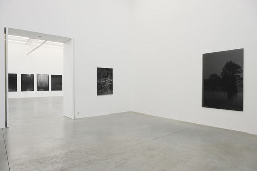 Dear deer , - Dirk Braeckman - Installation view