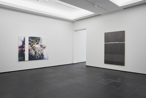 earth - Installation view