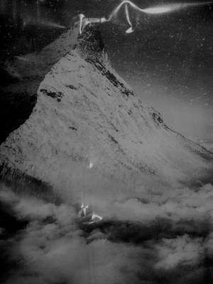 ZENO X GALLERY - Dear deer , - Dirk Braeckman