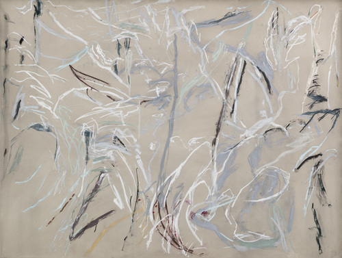 Susan Hartnett - Jan. 16 2001, continuing fine snow as dusk comes