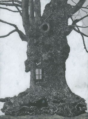 Patrick Van Caeckenbergh - Drawings of Old Trees (winter 2012 - 2013)