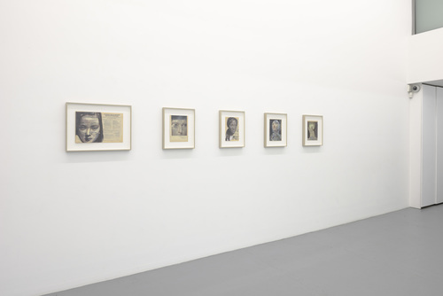 Domesticated - Jan De Maesschalck - 