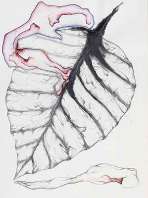 Lacuna - Grace Schwindt - Passing