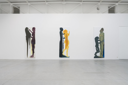 Double Takes - Installation view