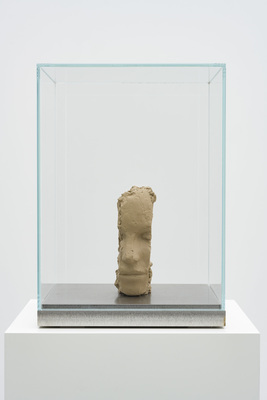 40 Years Zeno X Gallery - the nineties - Unfired Clay Head