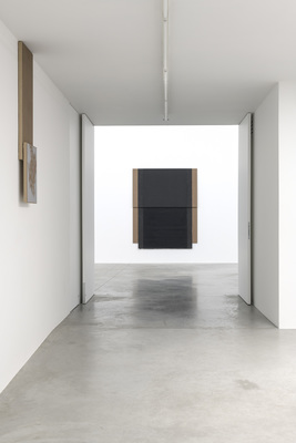 N. Dash - Installation view