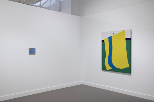 Friends in a Field: Conversations with Raoul De Keyser - Installation view