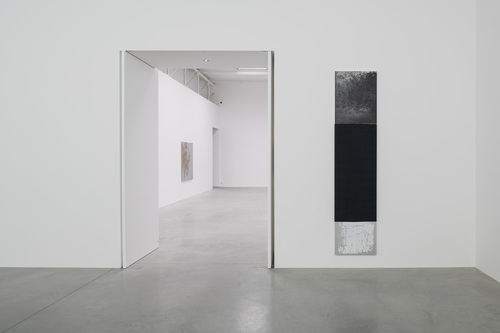 N. Dash - Installation view