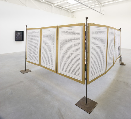 Les Loques de Chagrin - Installation view