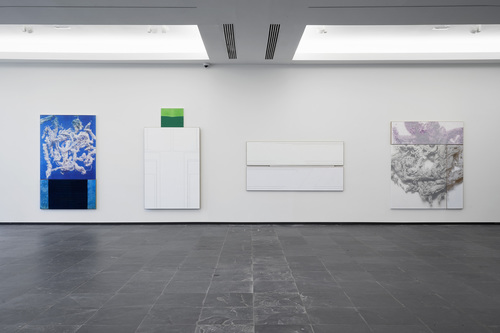 earth - Installation view