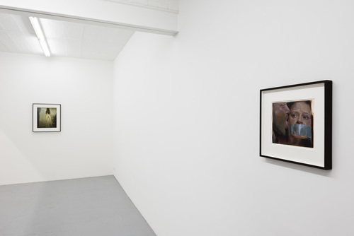 Domesticated - Jan De Maesschalck - 