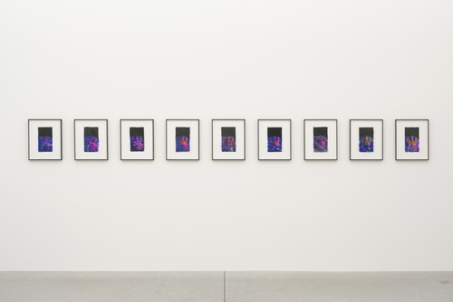 Luc Tuymans - Happy Birthday