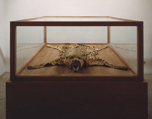 Wees voorzichtig mijn jongen - Luipaard (Leopard)