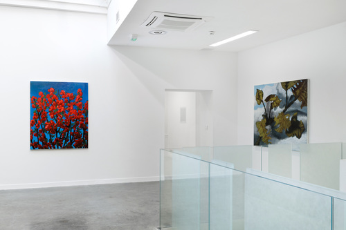 Pots, lapin, fenêtres, fleurs - Installation view