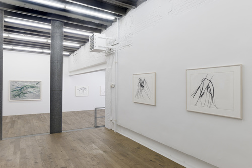 Susan Hartnett - Susan Hartnett - 