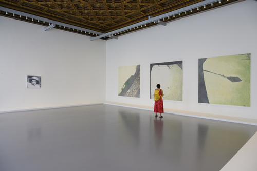 La Pelle - Installation view