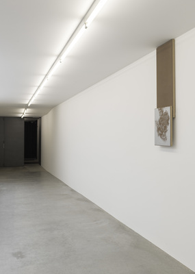 N. Dash - Installation view