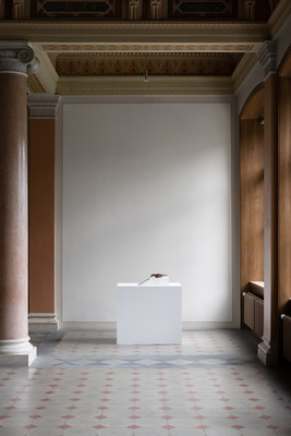 Grace Schwindt: Defiant Bodies - Installation view