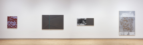 N. Dash - Installation view