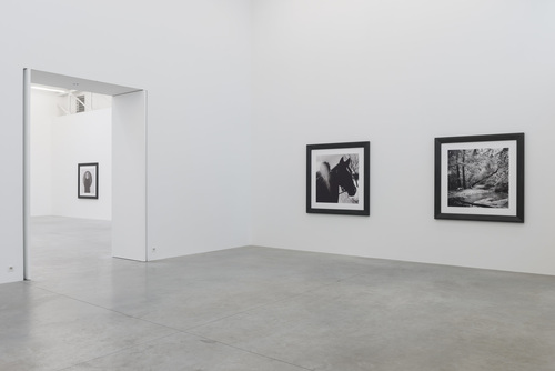 New Squares - Anton Corbijn - 