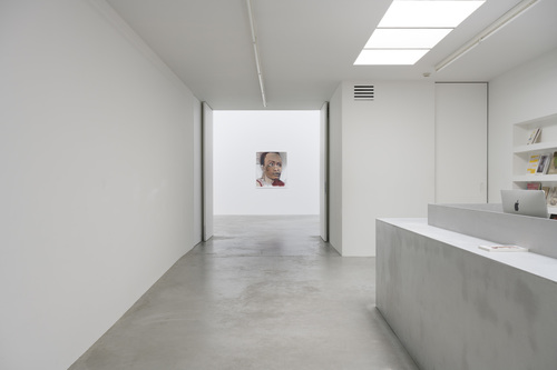 Double Takes - Installation view