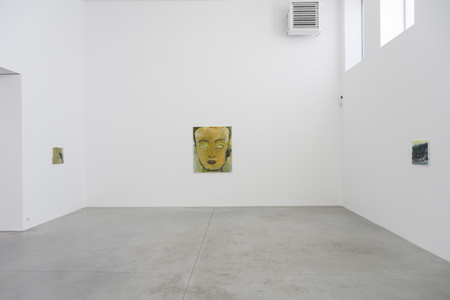 Double Takes - Installation view