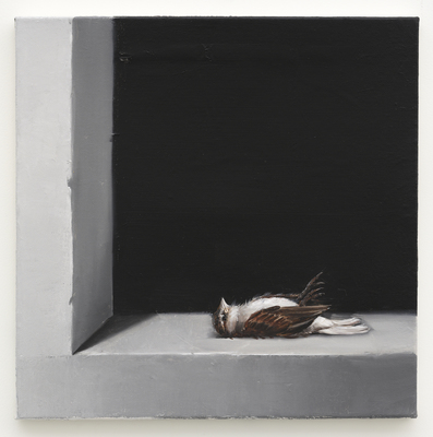 Mircea Suciu - Still Life (Self Portrait as a Dead Bird)