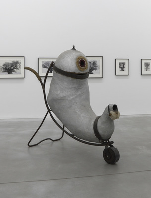 Patrick Van Caeckenbergh - Fluitketel (Singing Teakettle)