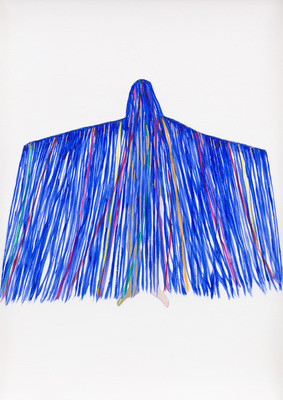 Grace Schwindt - Blue Ribbons