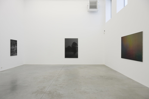 Dear deer , - Dirk Braeckman - Installation view