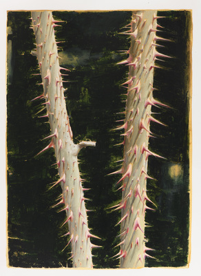 Jan De Maesschalck - Untitled (Bunker)