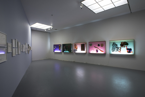 AMVK - Installation view