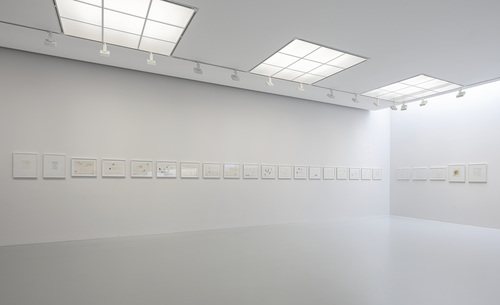 Museum in beweging - Installation view Anne-Mie Van Kerckhoven