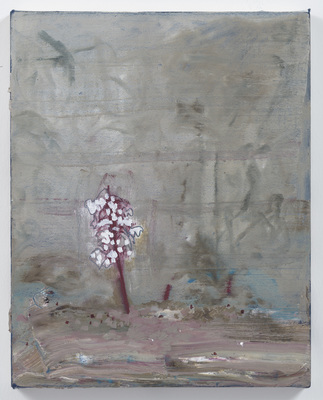 Marina Rheingantz - Stage