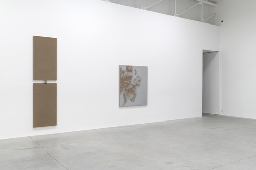 N. Dash - Installation view