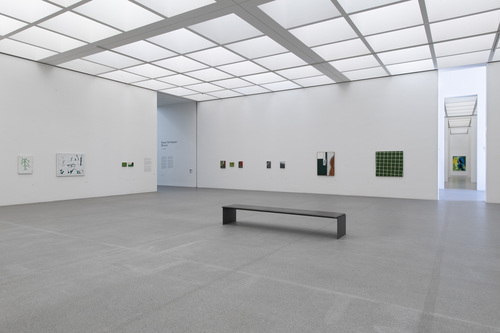 Raoul De Keyser: Oeuvre - Installation view