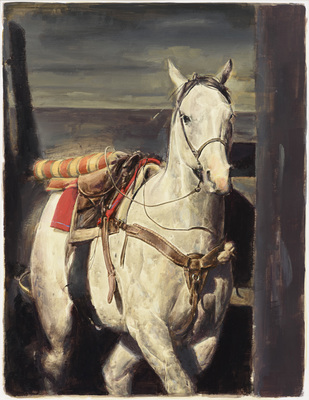 Domesticated - Jan De Maesschalck - Wandering (ambling gait)