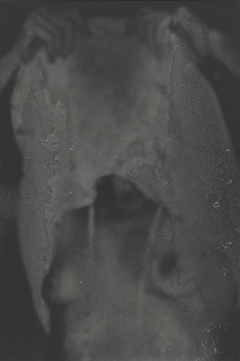 1/1 - Dirk Braeckman - 1/1 - P023 c - 2015 - 1/1