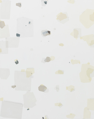 Collected Details - Accumulated