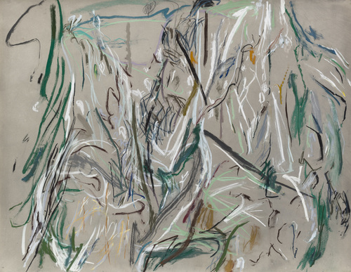 Susan Hartnett - March 15 '99 Arctic birds, Arctic memories