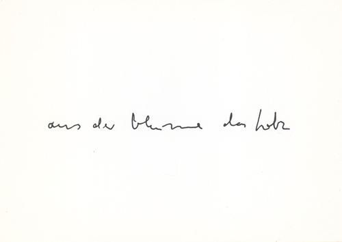 ZENO X GALLERY - Aus die blume das holz (reading) - Bernd Lohaus