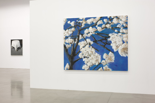 Pots, lapin, fenêtres, fleurs - Installation view