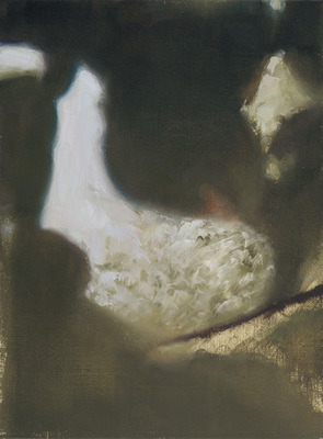 Jan De Maesschalck - Untitled