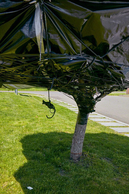 Kim Jones: White Crow - Installation view