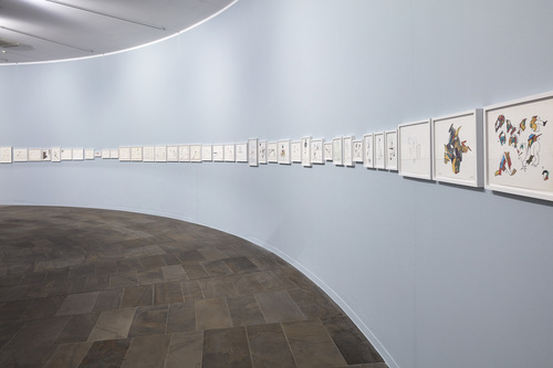 AMVK - Installation view