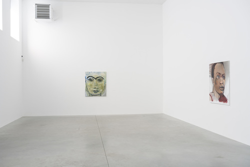 Double Takes - Installation view